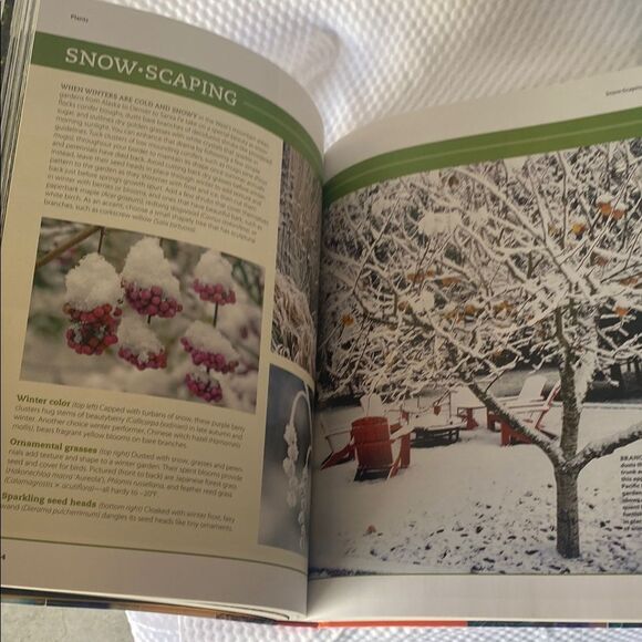 Sunset Western Garden Landscaping - Picture 12 of 14